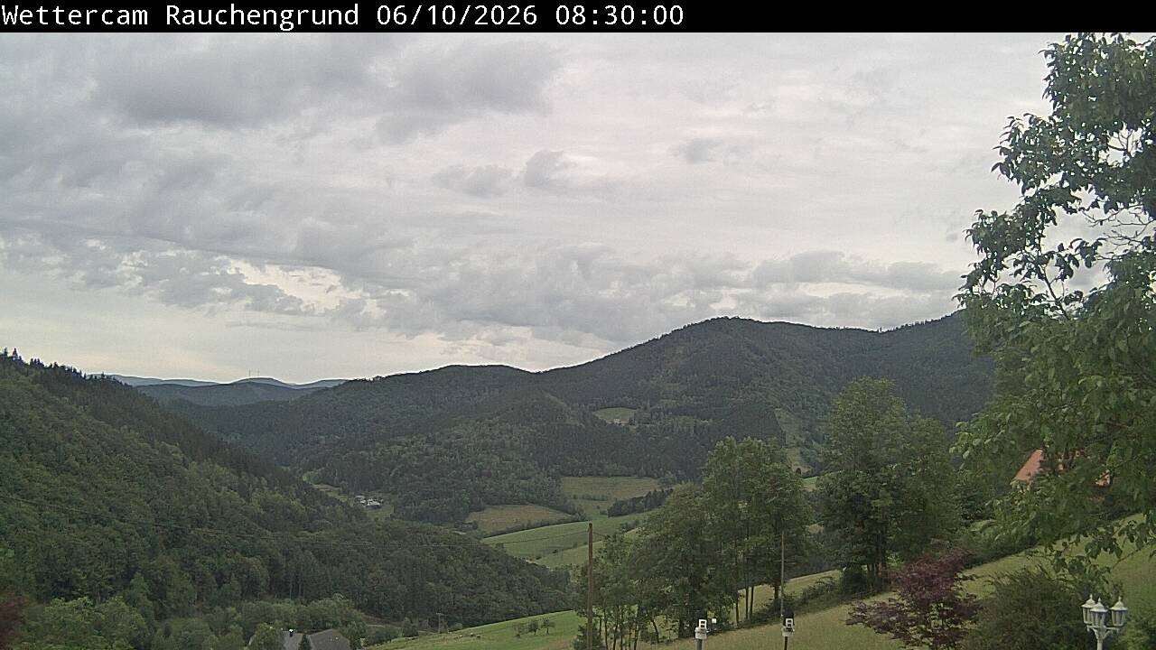 Archived image Webcam "Rauchengrund"