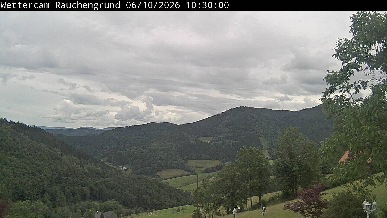 Archived image Webcam "Rauchengrund"