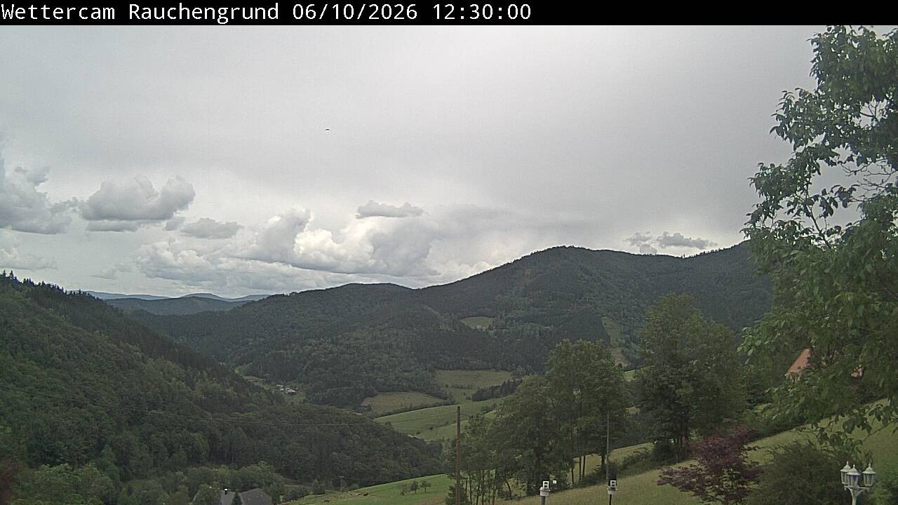 Archived image Webcam "Rauchengrund"