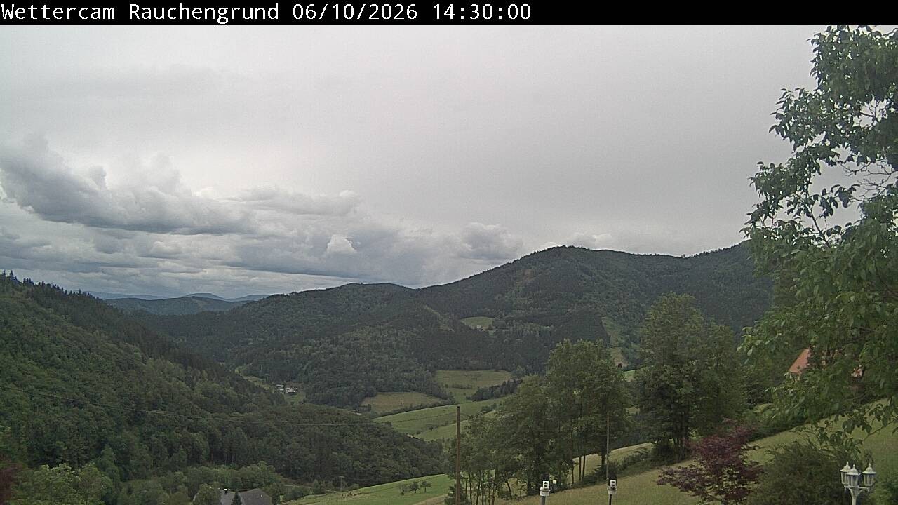 Archived image Webcam "Rauchengrund"