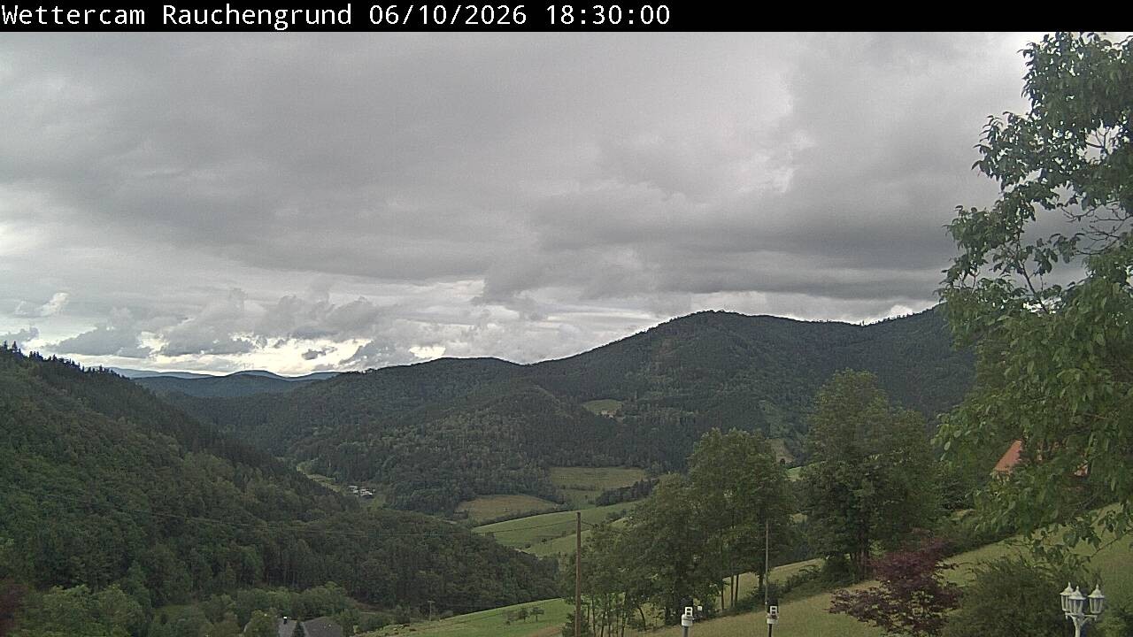 Archiv Foto Webcam Elzach