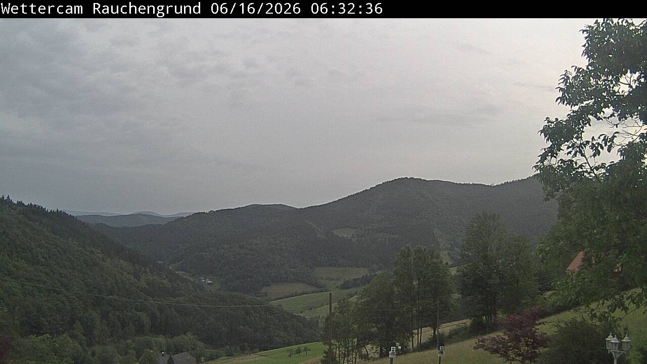 Archiv Foto Webcam Elzach