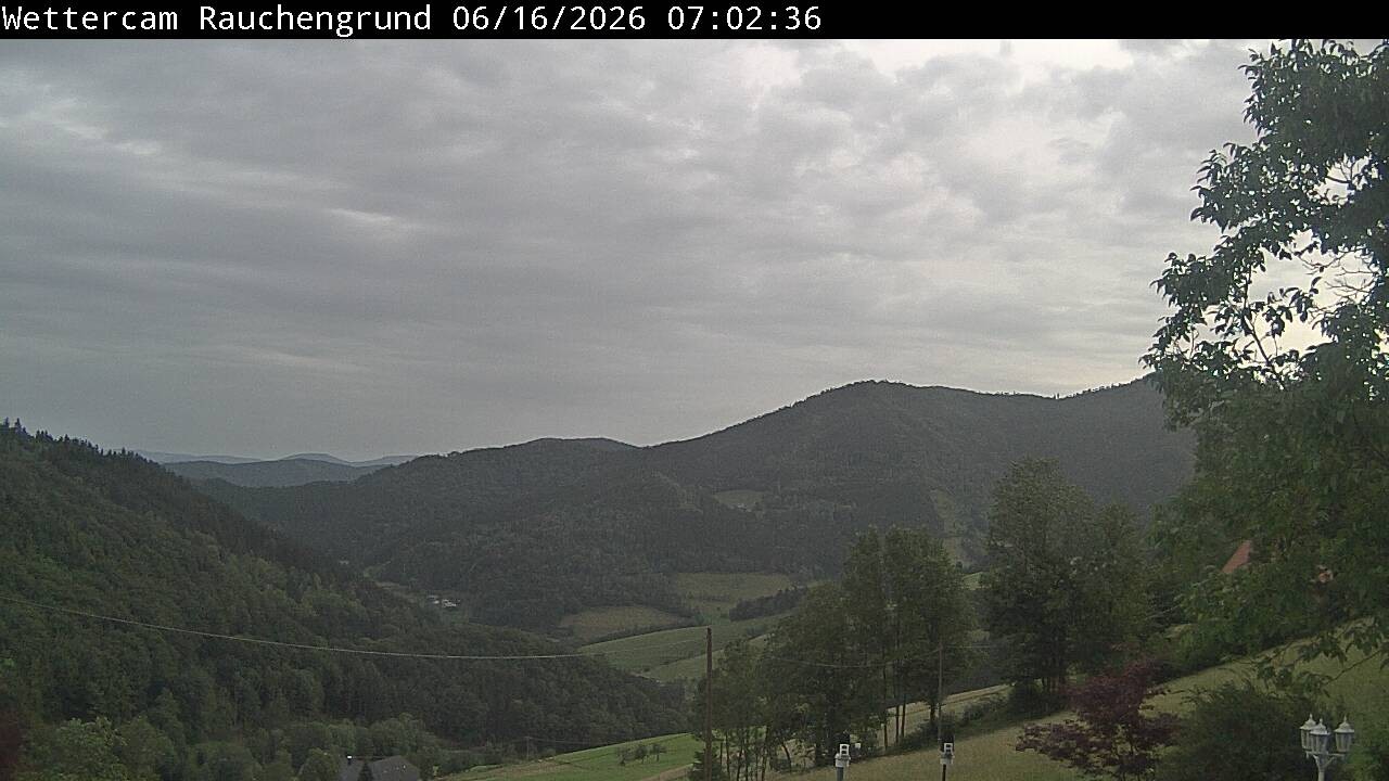 Archiv Foto Webcam Elzach