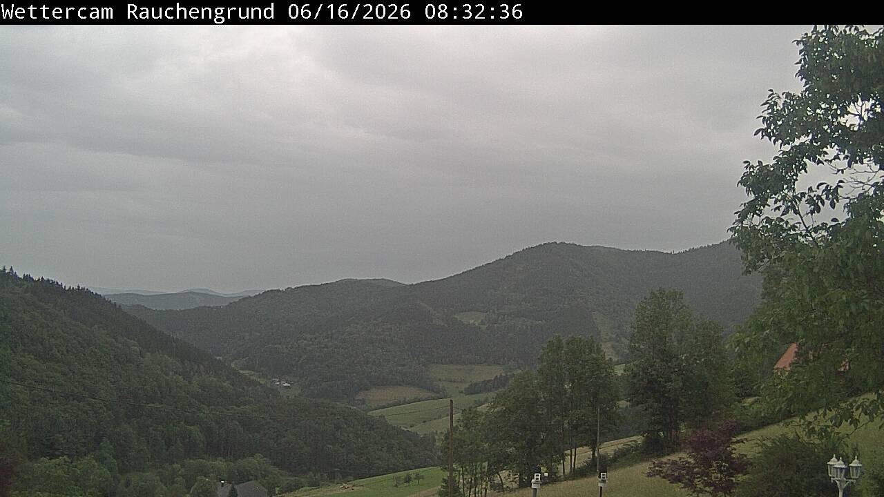 Archiv Foto Webcam Elzach