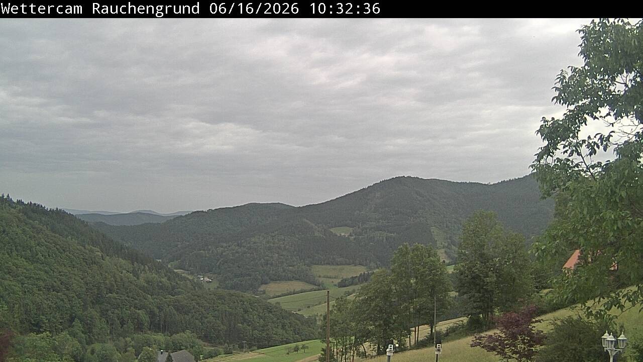 Archiv Foto Webcam Elzach