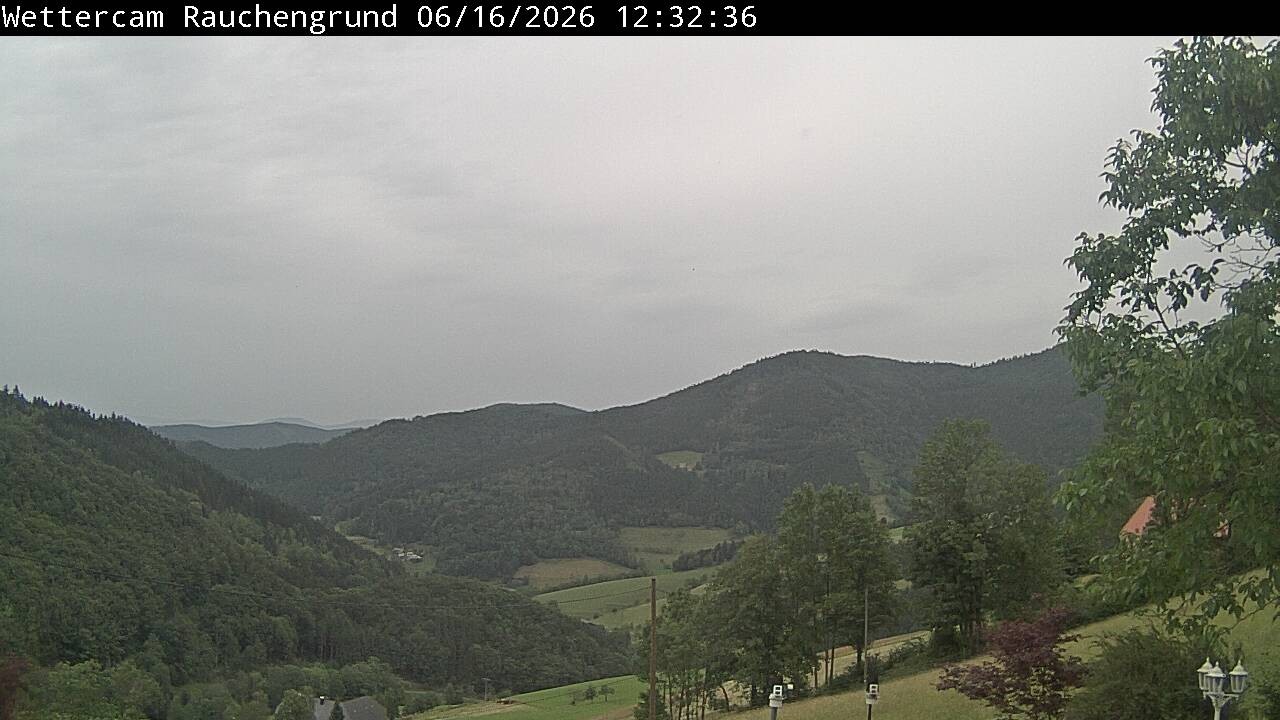 Archiv Foto Webcam Elzach