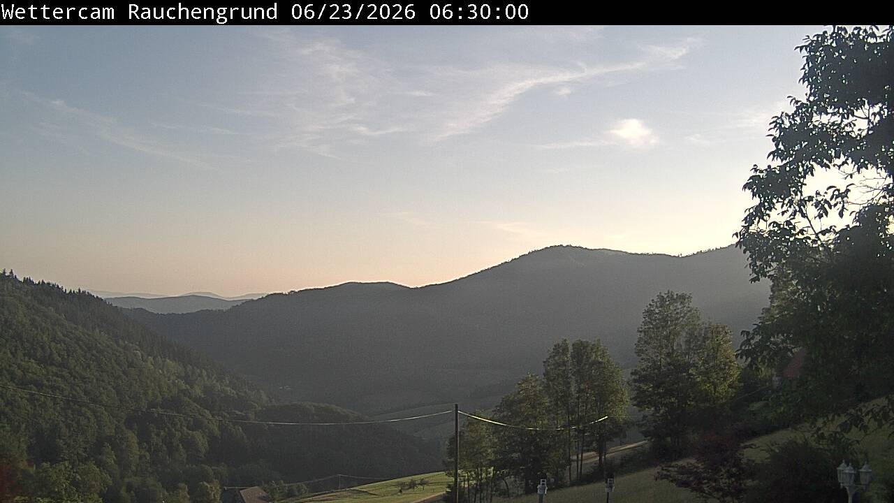 Archiv Foto Webcam Elzach