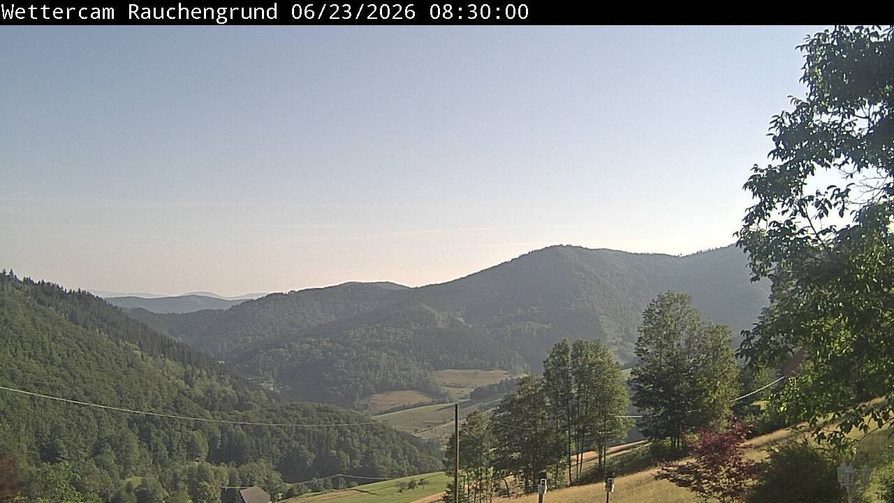 Archiv Foto Webcam Elzach