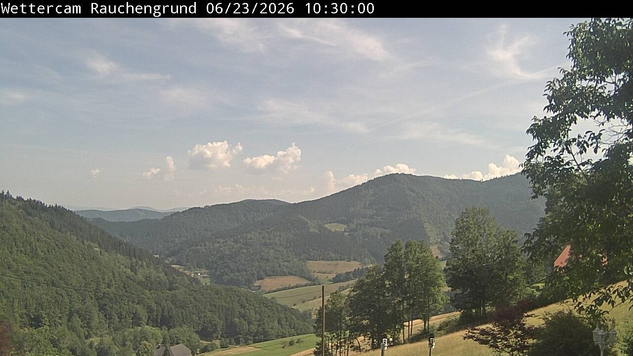 Archiv Foto Webcam Elzach