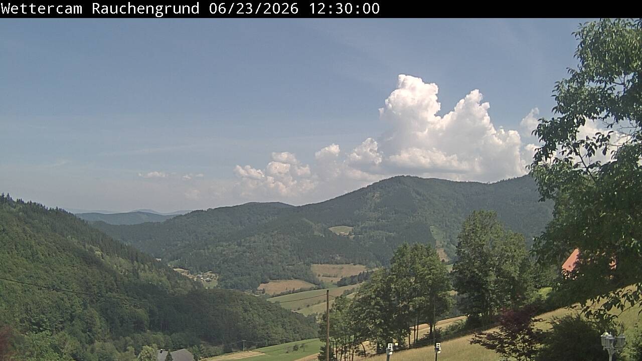 Archiv Foto Webcam Elzach