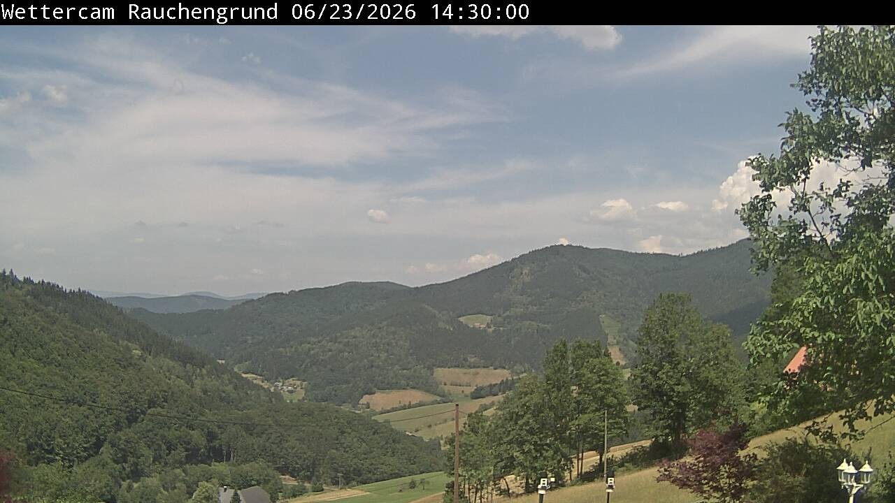 Archiv Foto Webcam Elzach