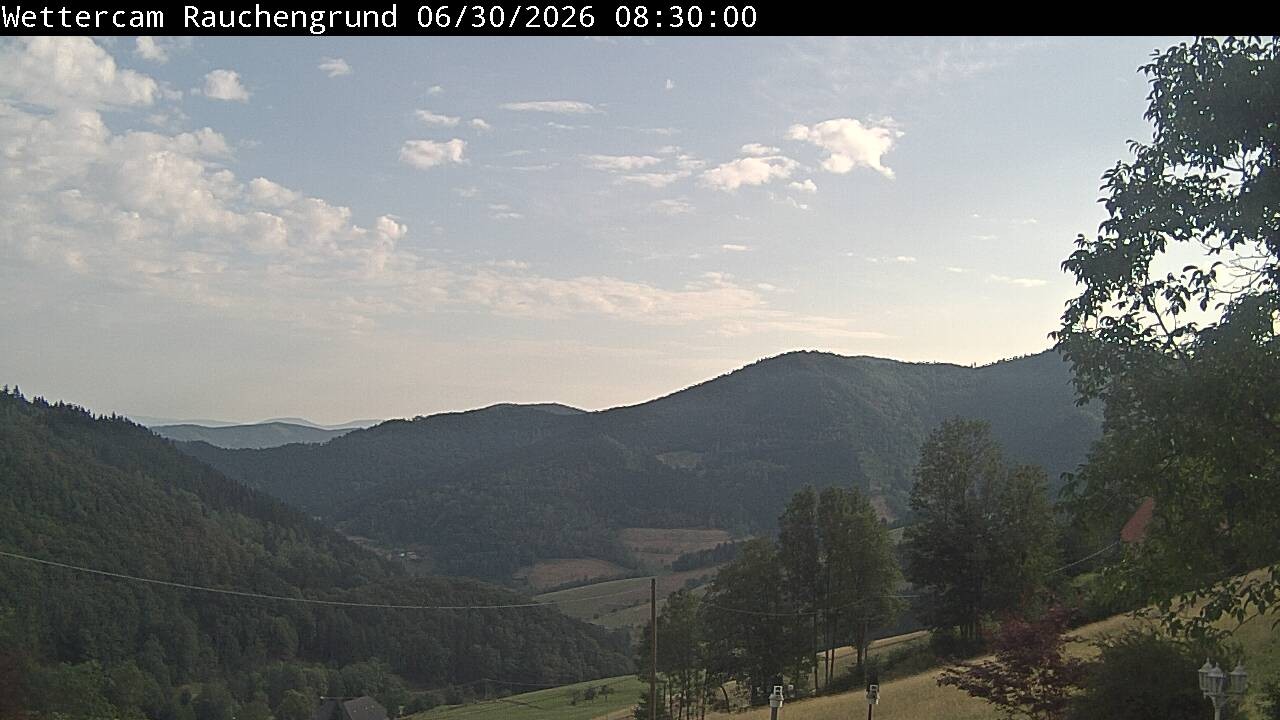 Archiv Foto Webcam Elzach