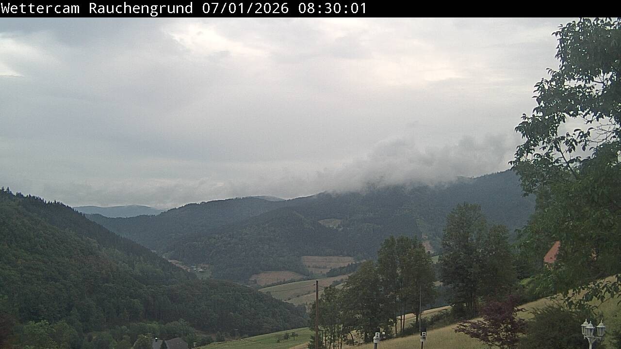 Archiv Foto Webcam Elzach