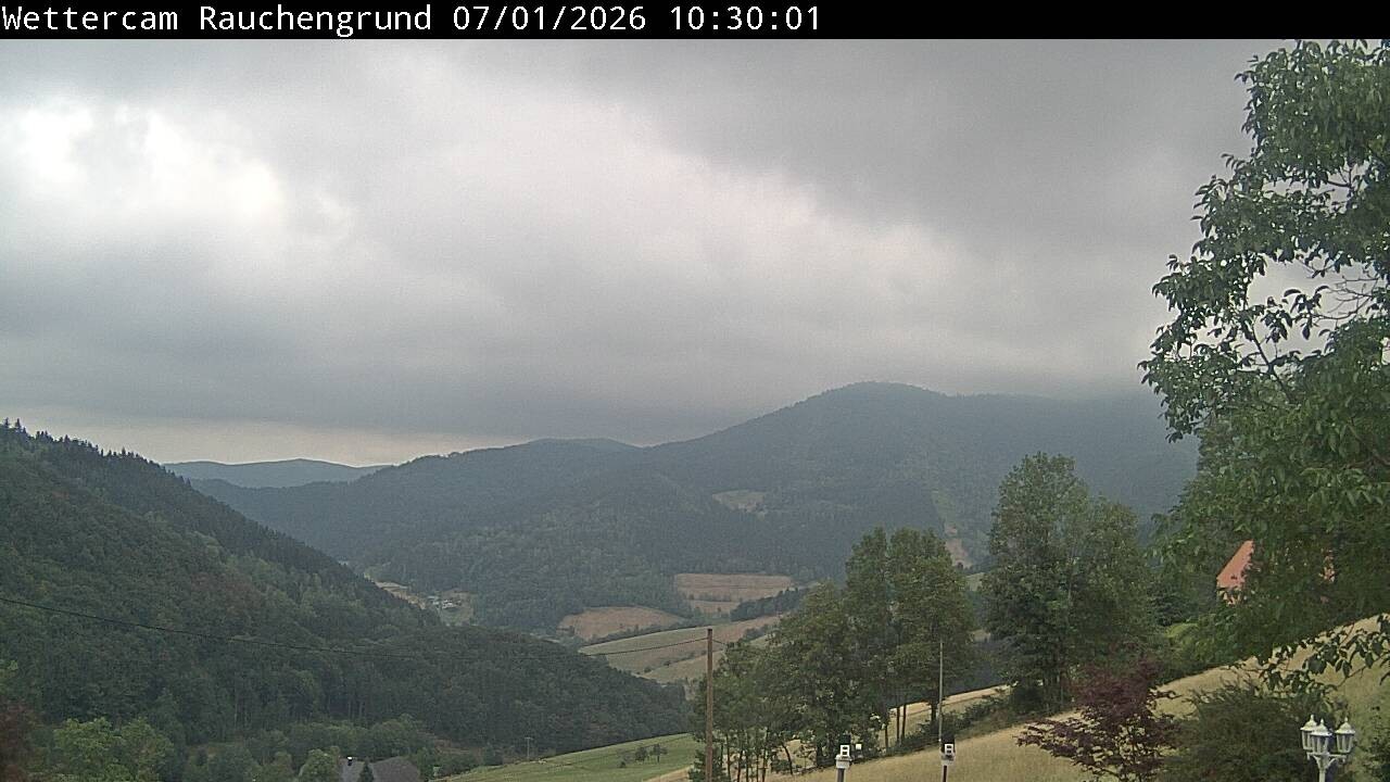 Archiv Foto Webcam Elzach