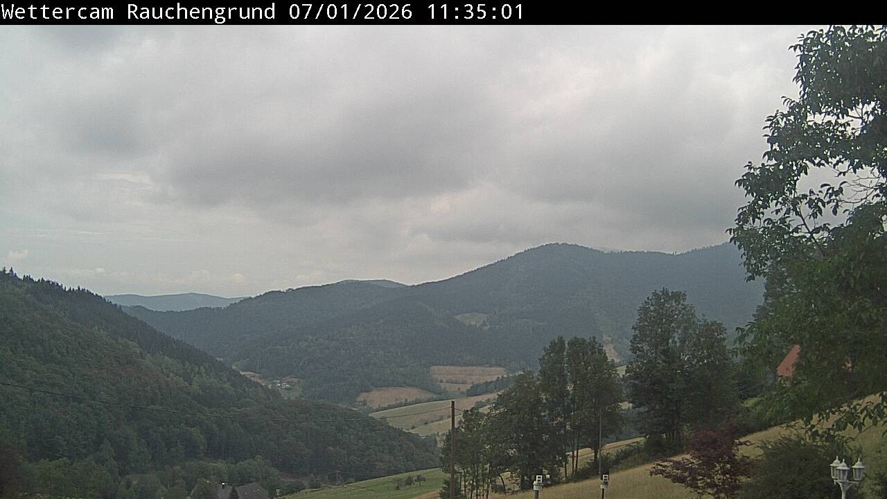 Archiv Foto Webcam Elzach