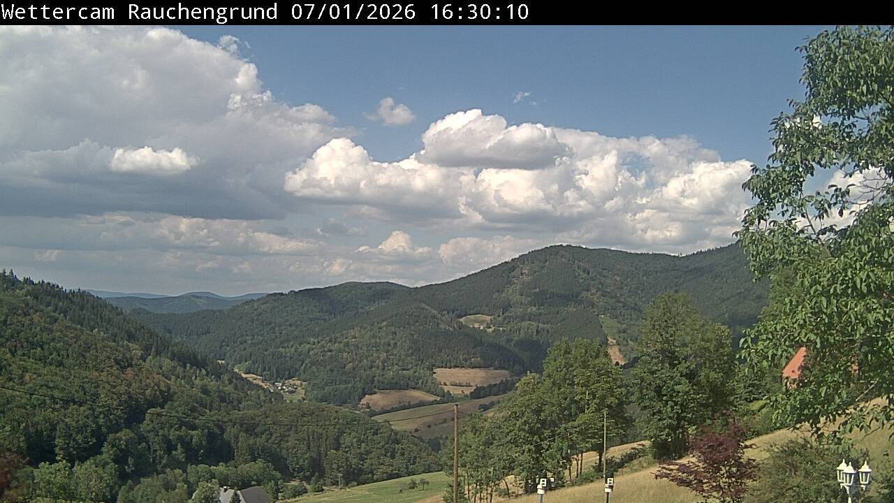 Archiv Foto Webcam Elzach
