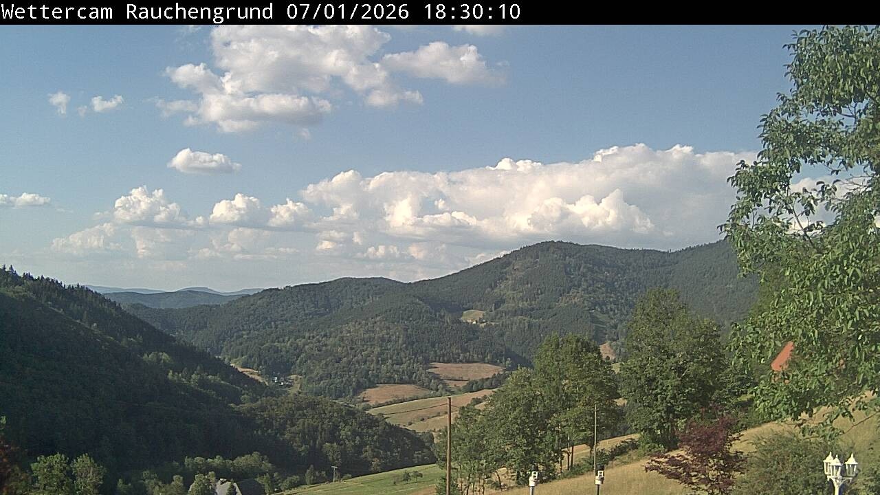 Archiv Foto Webcam Elzach
