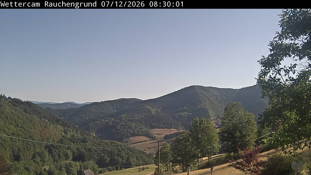 Archiv Foto Webcam Elzach