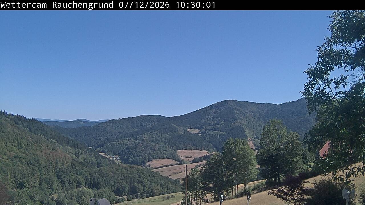 Archiv Foto Webcam Elzach