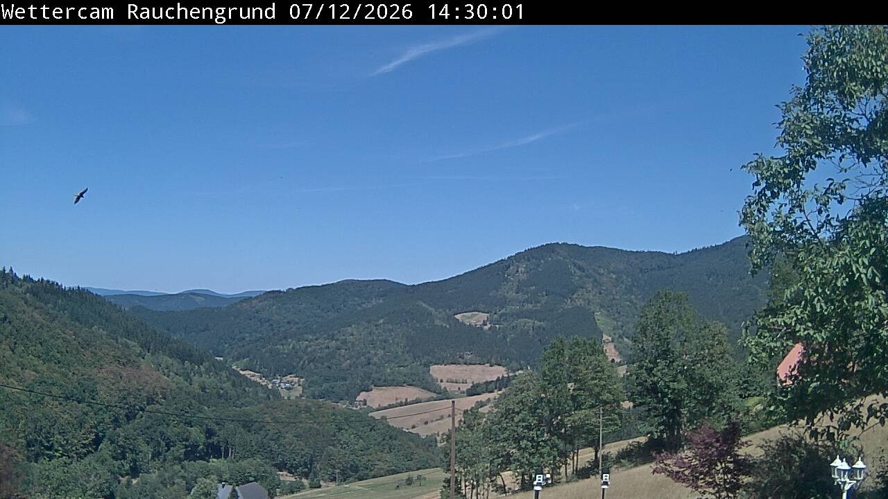 Archiv Foto Webcam Elzach