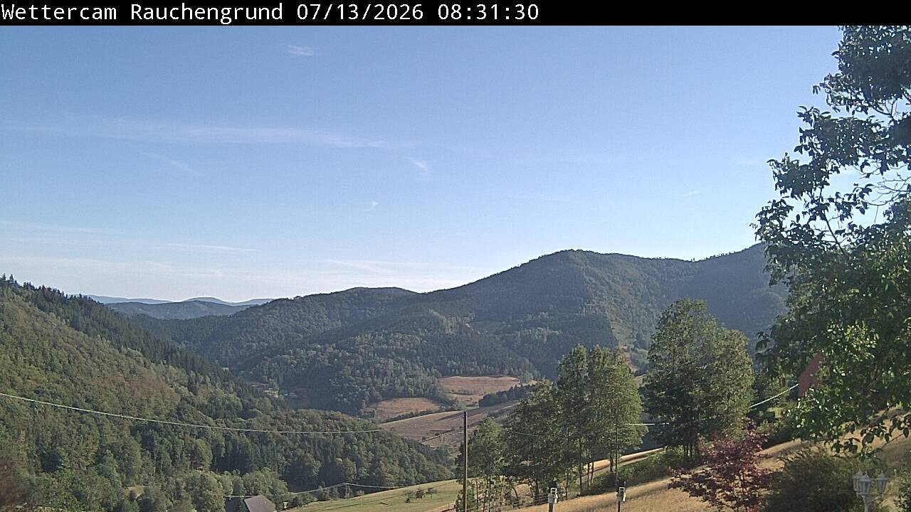 Archiv Foto Webcam Elzach