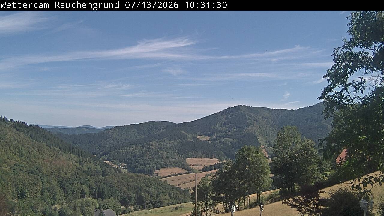 Archiv Foto Webcam Elzach