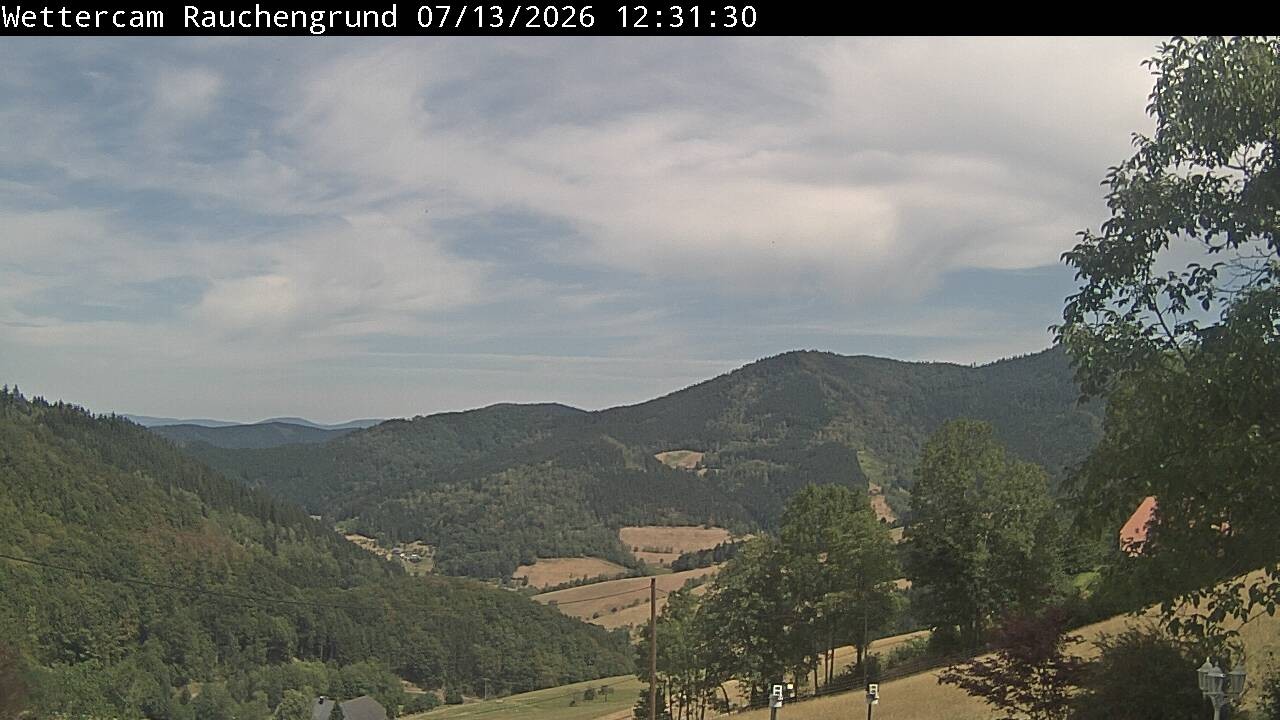 Archiv Foto Webcam Elzach