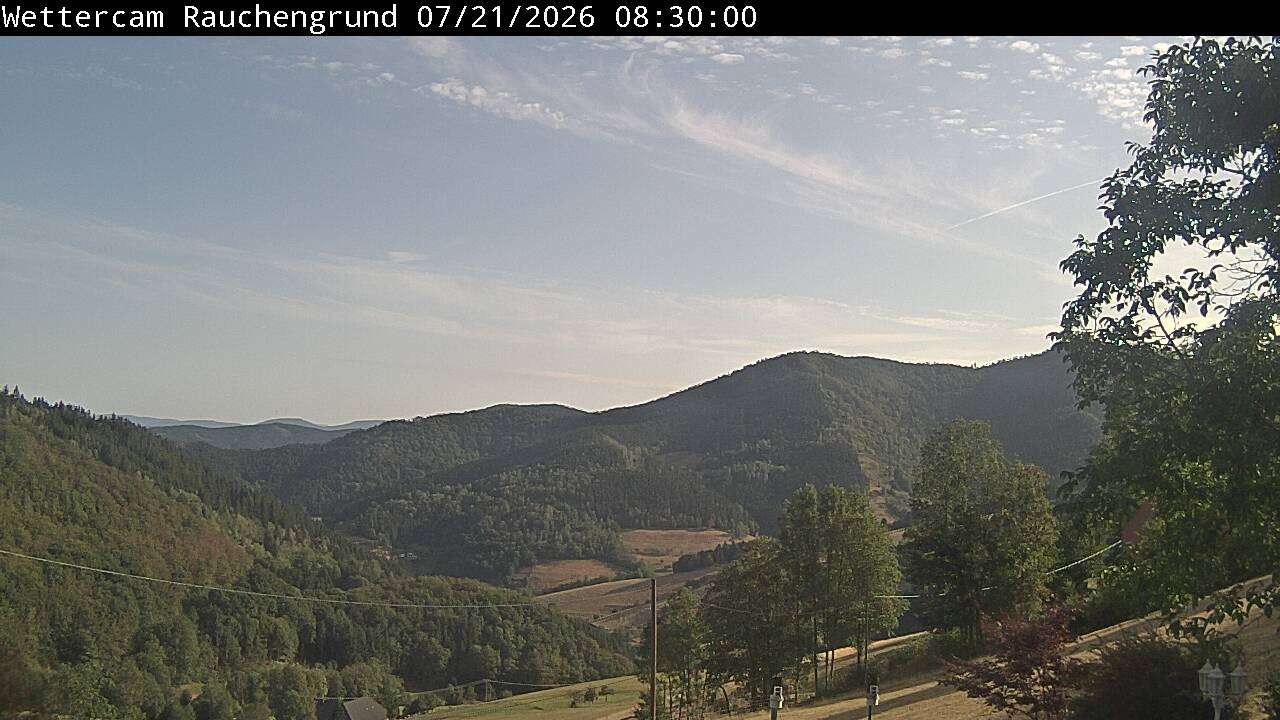 Archiv Foto Webcam Elzach