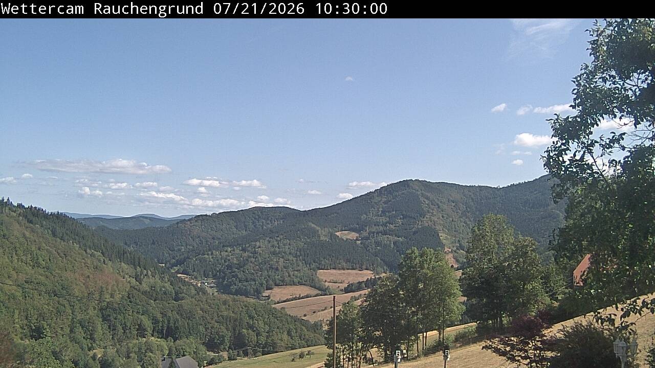 Archiv Foto Webcam Elzach