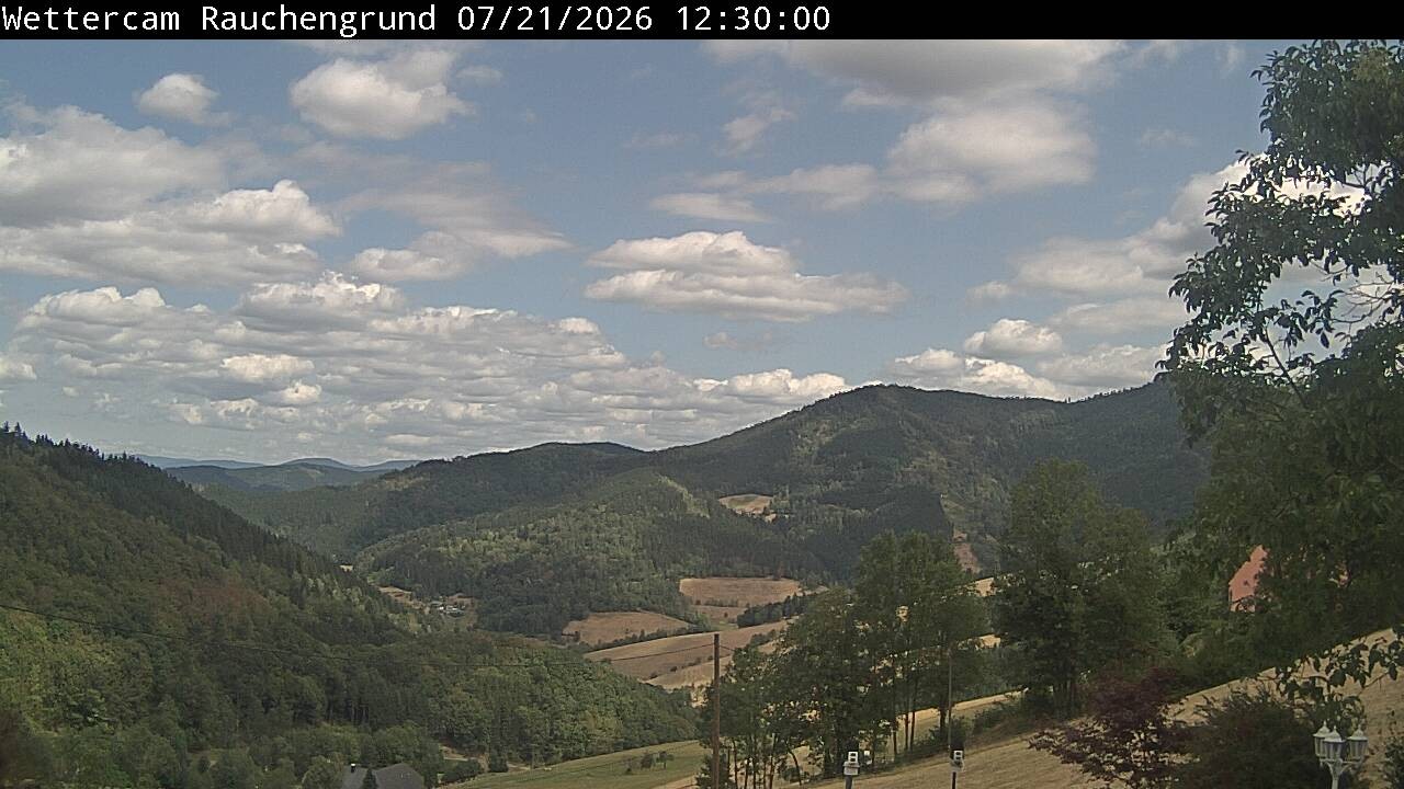 Archiv Foto Webcam Elzach