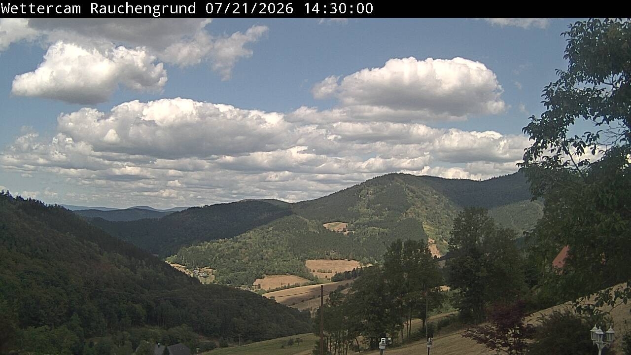 Archiv Foto Webcam Elzach