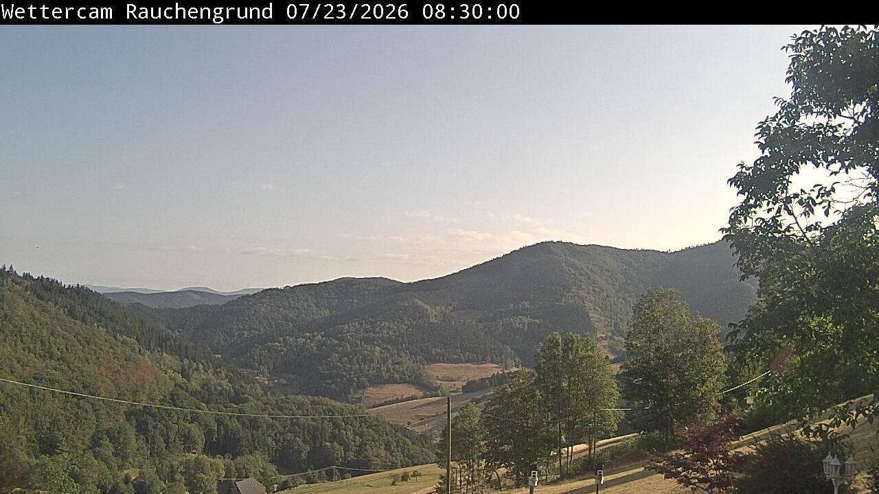 Archived image Webcam "Rauchengrund"