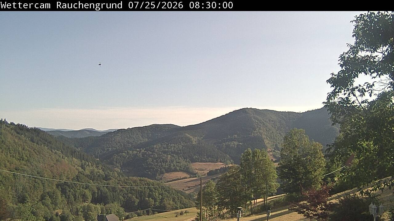 Archived image Webcam "Rauchengrund"