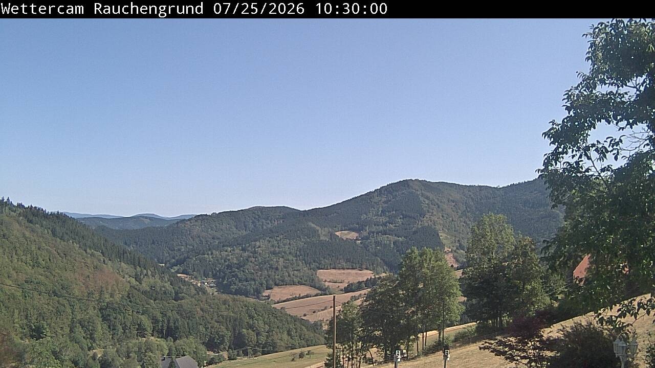 Archived image Webcam "Rauchengrund"