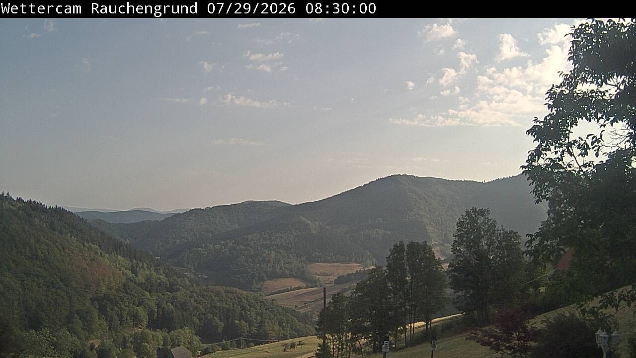 Archiv Foto Webcam Elzach
