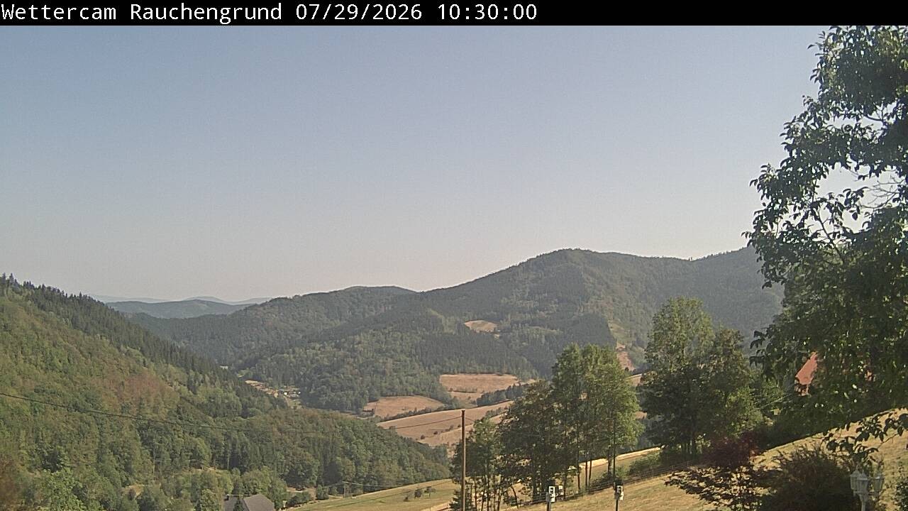 Archiv Foto Webcam Elzach
