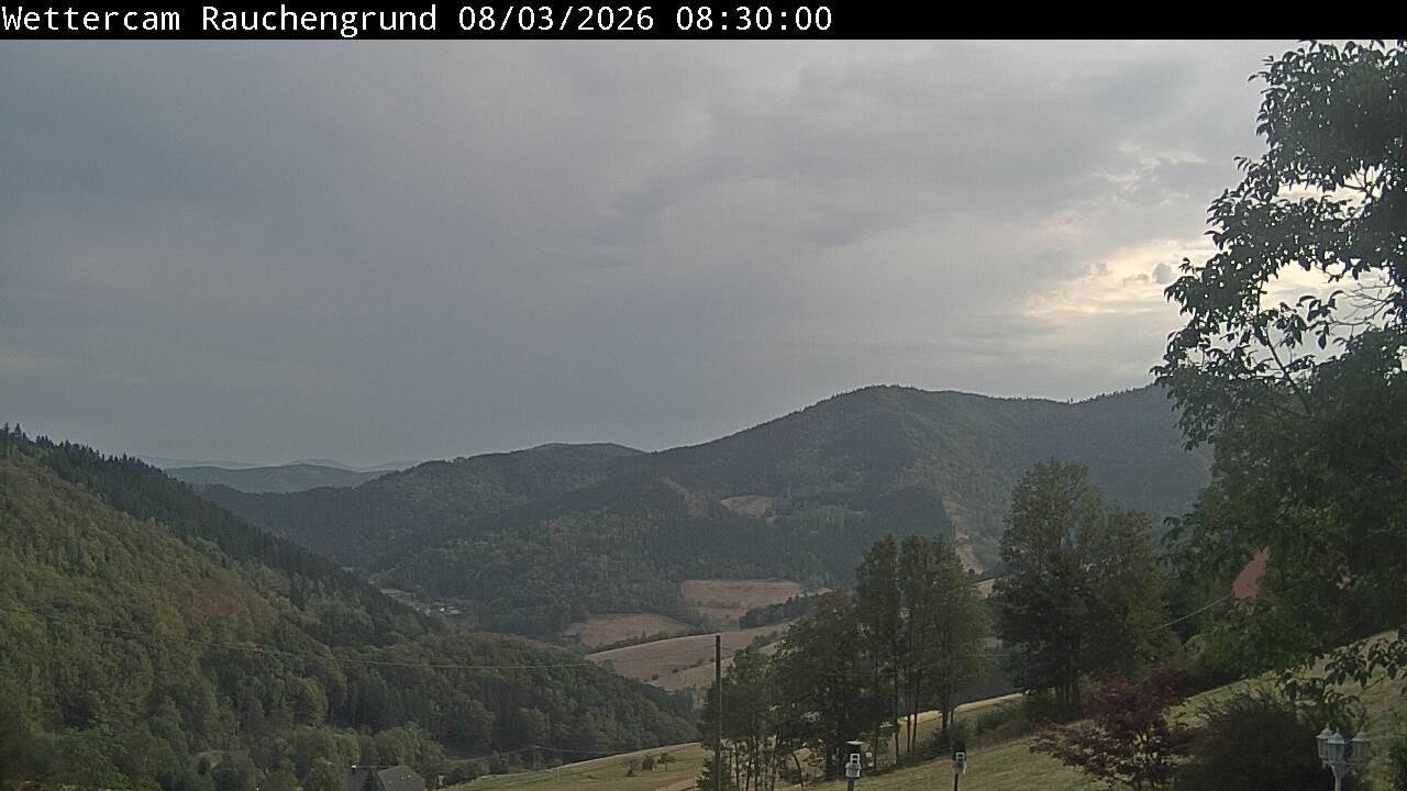 Archived image Webcam "Rauchengrund"
