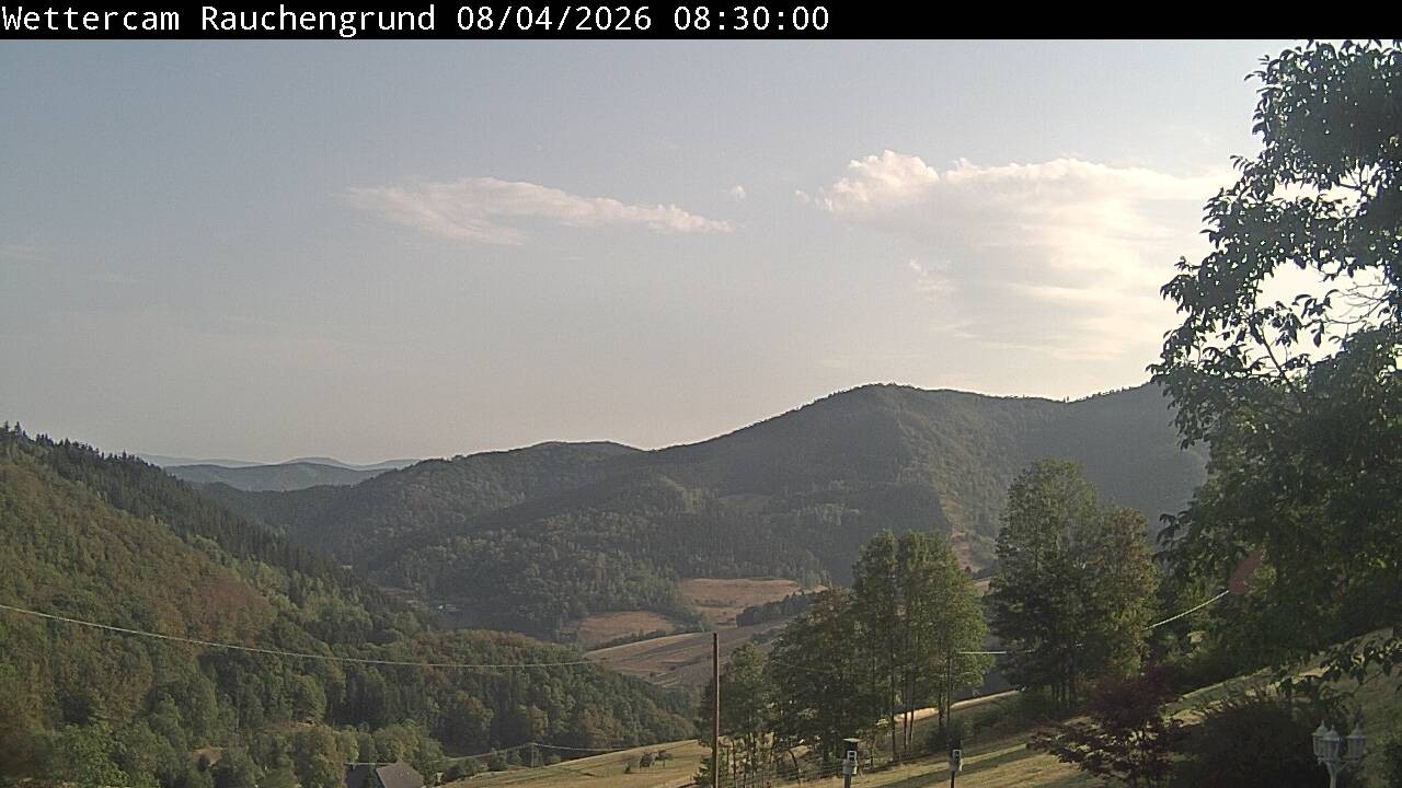 Archiv Foto Webcam Elzach