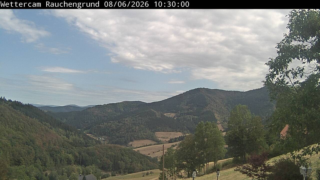 Archiv Foto Webcam Elzach