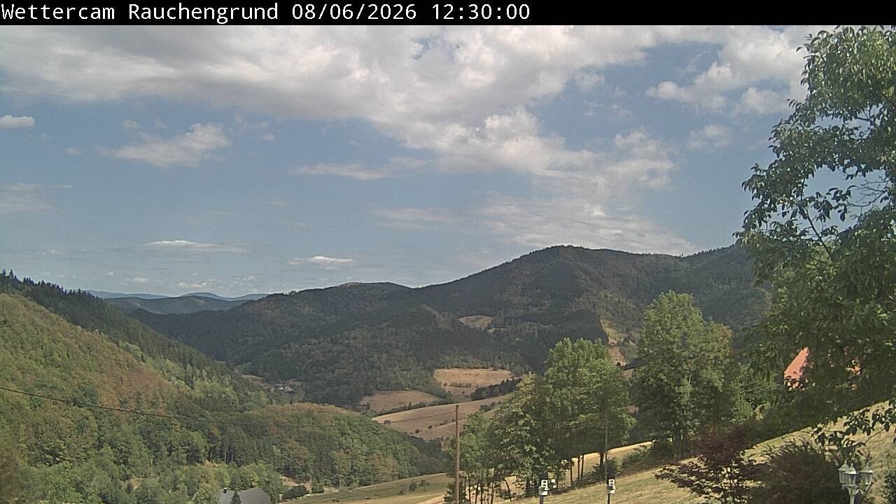 Archiv Foto Webcam Elzach