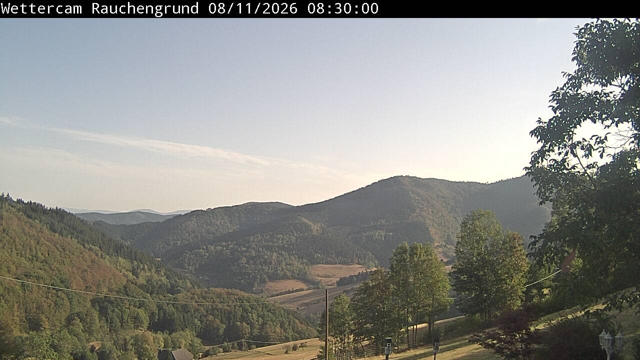 Archiv Foto Webcam Elzach