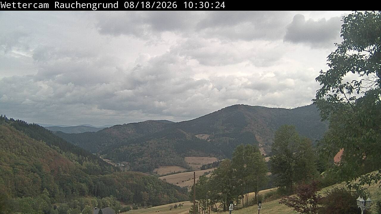 Archived image Webcam "Rauchengrund"