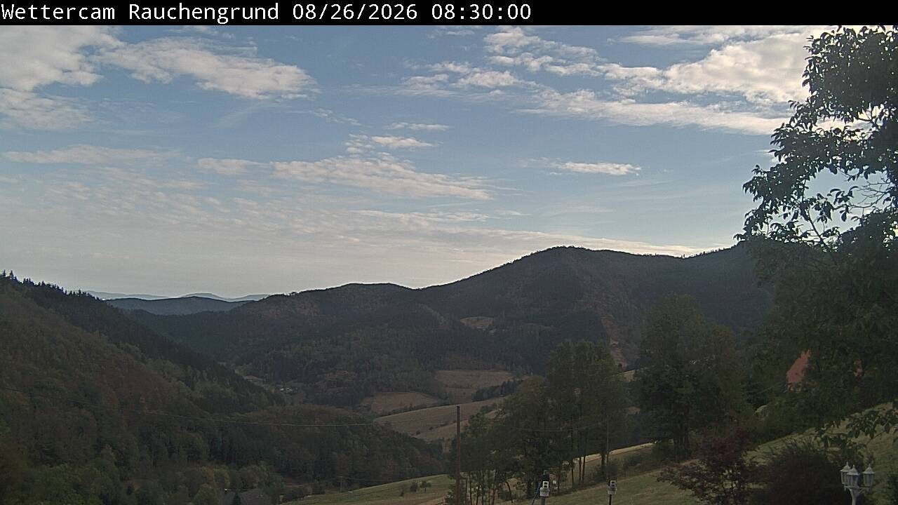 Archiv Foto Webcam Elzach