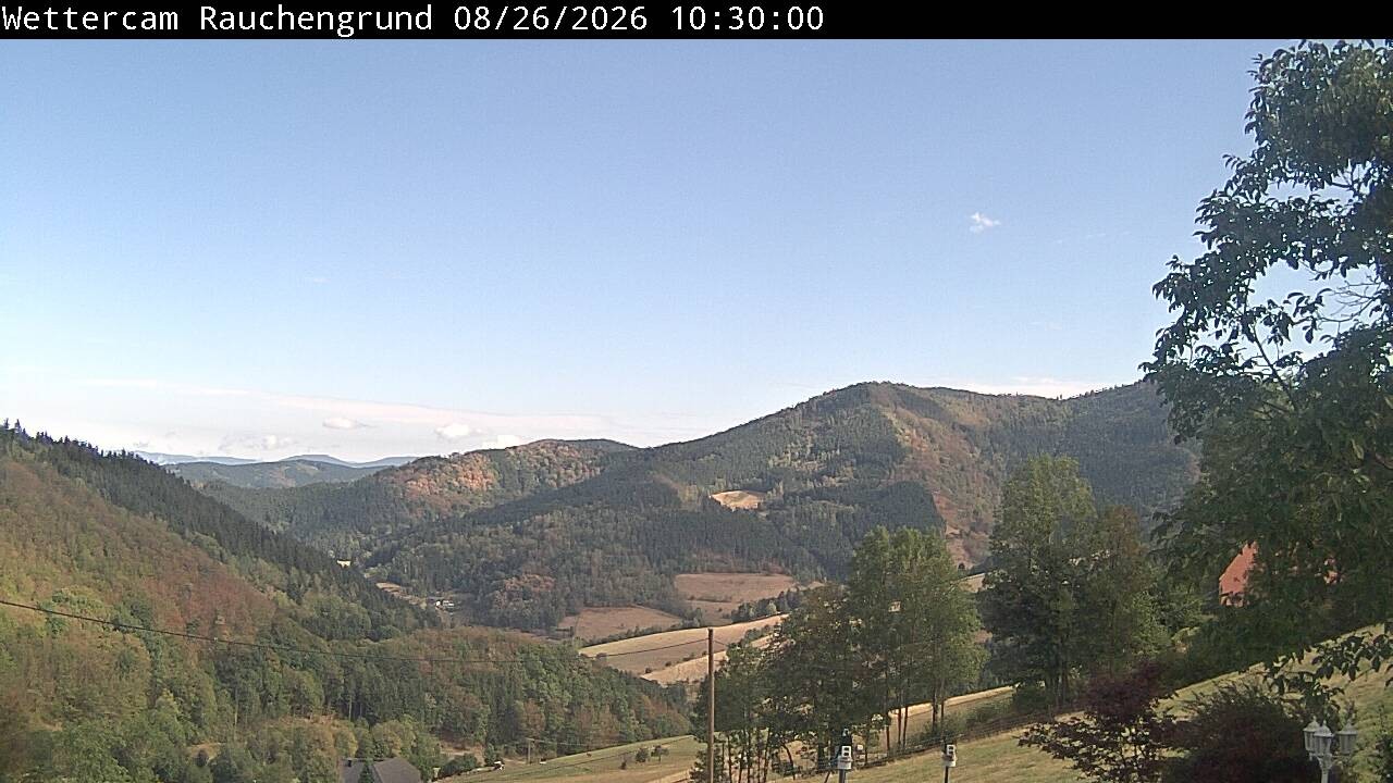 Archiv Foto Webcam Elzach