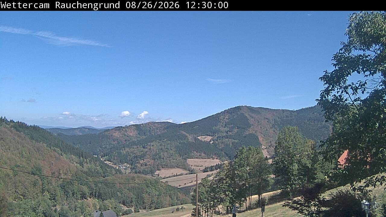 Archiv Foto Webcam Elzach