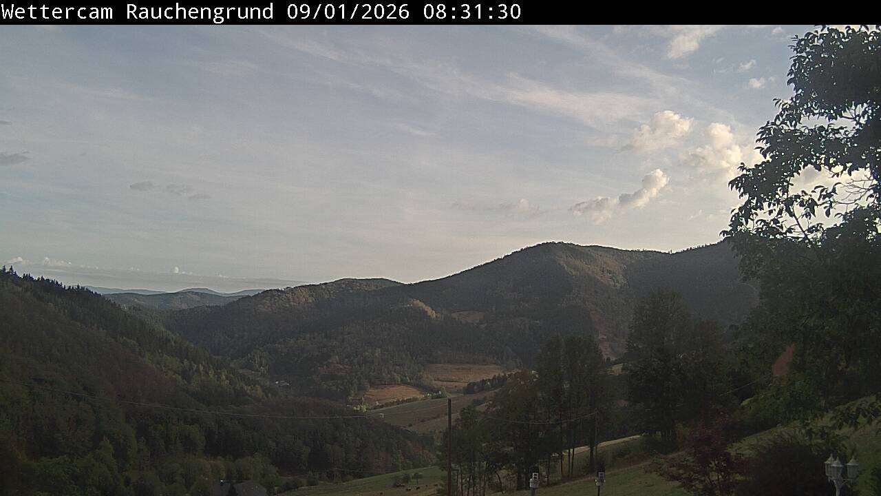 Archiv Foto Webcam Elzach