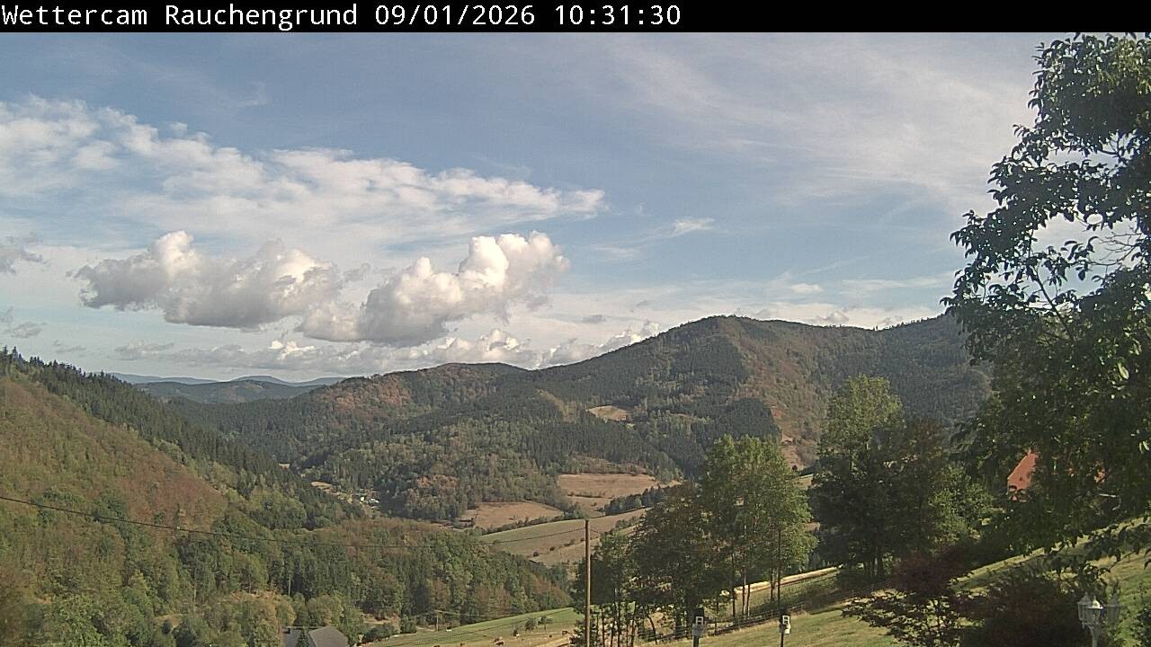 Archiv Foto Webcam Elzach