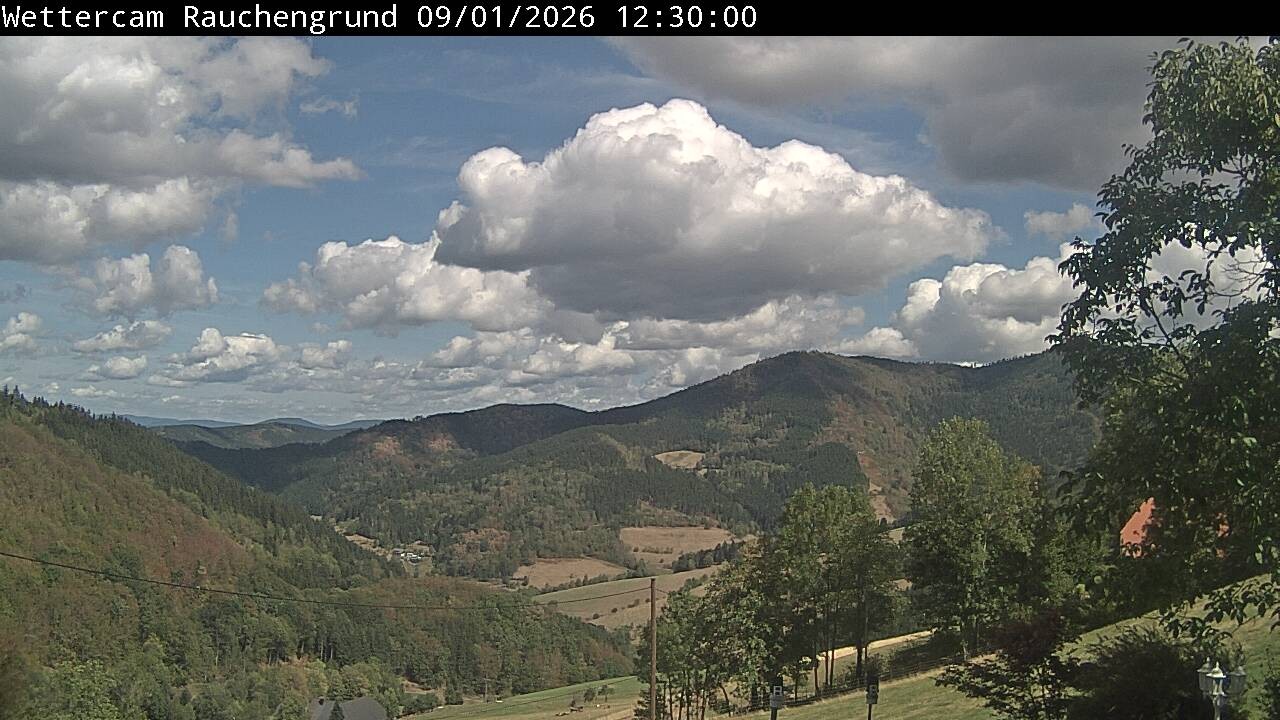Archiv Foto Webcam Elzach