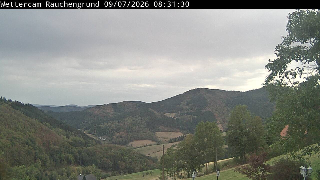 Archived image Webcam "Rauchengrund"