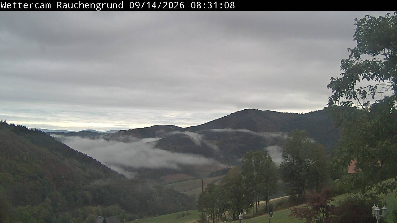 Archiv Foto Webcam Elzach